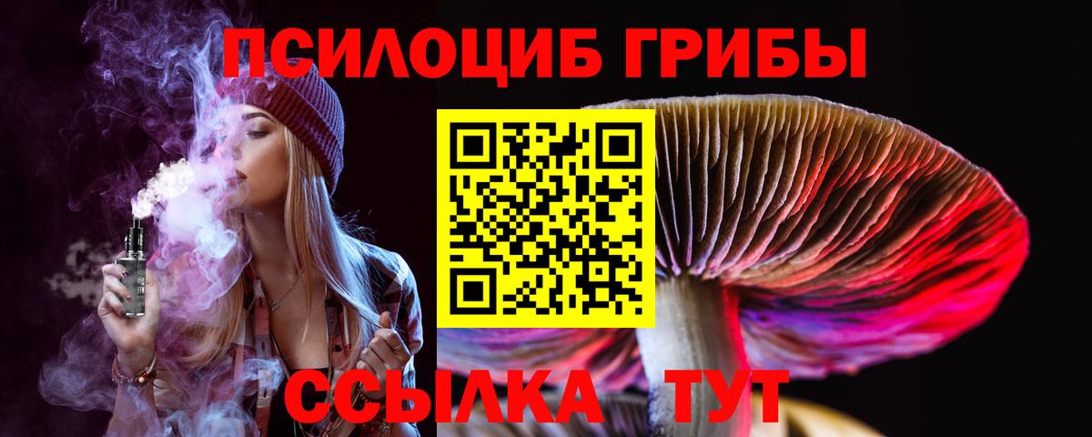 Кимовск  Галлюциногенные грибы Magic Shrooms  Вход с VPN 